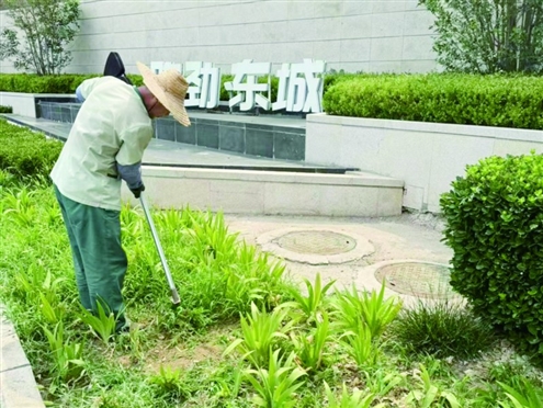 路劲东城社区组织开展全面的园区绿化整理行动